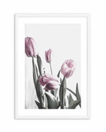 Pink Tulip Illustration III Art Print-PRINT-Olive et Oriel-Olive et Oriel-A4 | 8.3" x 11.7" | 21 x 29.7cm-White-With White Border-Buy-Australian-Art-Prints-Online-with-Olive-et-Oriel-Your-Artwork-Specialists-Austrailia-Decorate-With-Coastal-Photo-Wall-Art-Prints-From-Our-Beach-House-Artwork-Collection-Fine-Poster-and-Framed-Artwork