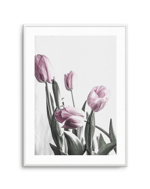 Pink Tulip Illustration III Art Print-PRINT-Olive et Oriel-Olive et Oriel-A4 | 8.3" x 11.7" | 21 x 29.7cm-Unframed Art Print-With White Border-Buy-Australian-Art-Prints-Online-with-Olive-et-Oriel-Your-Artwork-Specialists-Austrailia-Decorate-With-Coastal-Photo-Wall-Art-Prints-From-Our-Beach-House-Artwork-Collection-Fine-Poster-and-Framed-Artwork