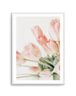 Pink Tulips I Art Print-PRINT-Olive et Oriel-Olive et Oriel-A5 | 5.8" x 8.3" | 14.8 x 21cm-Unframed Art Print-With White Border-Buy-Australian-Art-Prints-Online-with-Olive-et-Oriel-Your-Artwork-Specialists-Austrailia-Decorate-With-Coastal-Photo-Wall-Art-Prints-From-Our-Beach-House-Artwork-Collection-Fine-Poster-and-Framed-Artwork