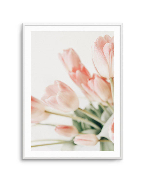 Pink Tulips I Art Print-PRINT-Olive et Oriel-Olive et Oriel-A5 | 5.8" x 8.3" | 14.8 x 21cm-Unframed Art Print-With White Border-Buy-Australian-Art-Prints-Online-with-Olive-et-Oriel-Your-Artwork-Specialists-Austrailia-Decorate-With-Coastal-Photo-Wall-Art-Prints-From-Our-Beach-House-Artwork-Collection-Fine-Poster-and-Framed-Artwork