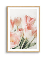 Pink Tulips II Art Print-PRINT-Olive et Oriel-Olive et Oriel-A5 | 5.8" x 8.3" | 14.8 x 21cm-Oak-With White Border-Buy-Australian-Art-Prints-Online-with-Olive-et-Oriel-Your-Artwork-Specialists-Austrailia-Decorate-With-Coastal-Photo-Wall-Art-Prints-From-Our-Beach-House-Artwork-Collection-Fine-Poster-and-Framed-Artwork
