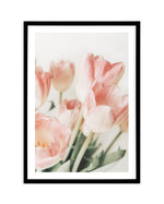 Pink Tulips II Art Print-PRINT-Olive et Oriel-Olive et Oriel-A5 | 5.8" x 8.3" | 14.8 x 21cm-Black-With White Border-Buy-Australian-Art-Prints-Online-with-Olive-et-Oriel-Your-Artwork-Specialists-Austrailia-Decorate-With-Coastal-Photo-Wall-Art-Prints-From-Our-Beach-House-Artwork-Collection-Fine-Poster-and-Framed-Artwork