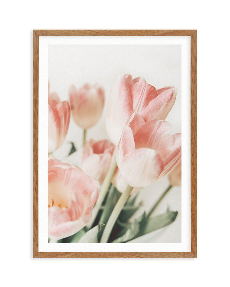 Pink Tulips II Art Print-PRINT-Olive et Oriel-Olive et Oriel-50x70 cm | 19.6" x 27.5"-Walnut-With White Border-Buy-Australian-Art-Prints-Online-with-Olive-et-Oriel-Your-Artwork-Specialists-Austrailia-Decorate-With-Coastal-Photo-Wall-Art-Prints-From-Our-Beach-House-Artwork-Collection-Fine-Poster-and-Framed-Artwork