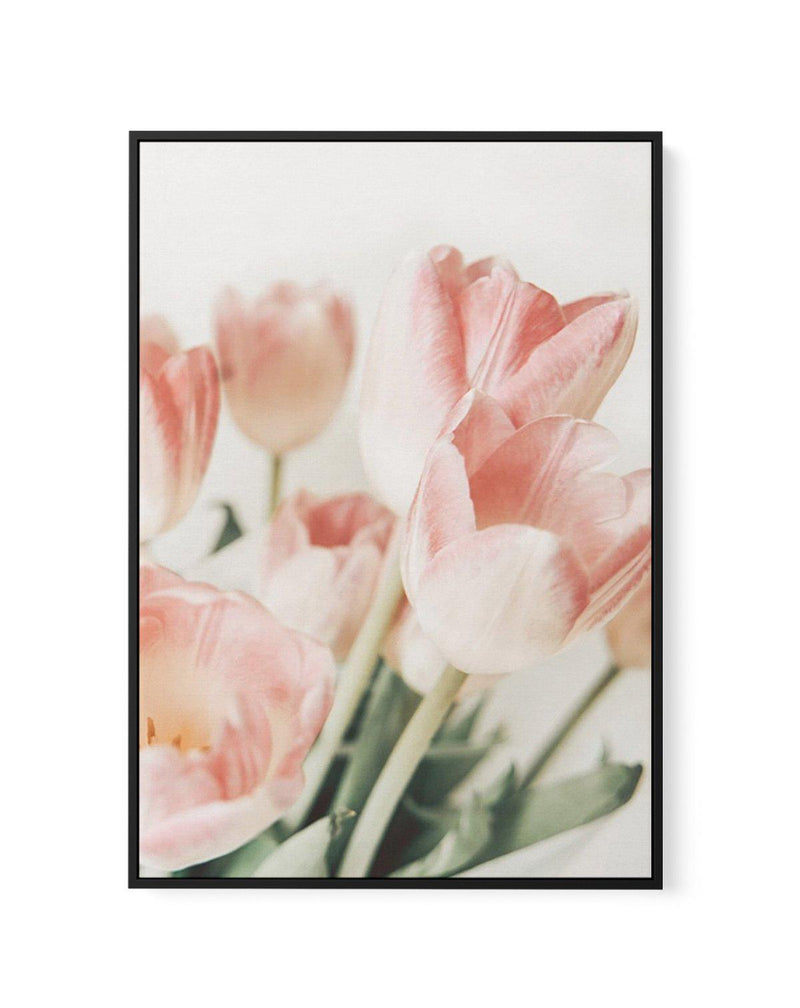 Pink Tulips II | Framed Canvas-CANVAS-You can shop wall art online with Olive et Oriel for everything from abstract art to fun kids wall art. Our beautiful modern art prints and canvas art are available from large canvas prints to wall art paintings and our proudly Australian artwork collection offers only the highest quality framed large wall art and canvas art Australia - You can buy fashion photography prints or Hampton print posters and paintings on canvas from Olive et Oriel and have them d