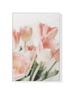 Pink Tulips II | Framed Canvas-CANVAS-You can shop wall art online with Olive et Oriel for everything from abstract art to fun kids wall art. Our beautiful modern art prints and canvas art are available from large canvas prints to wall art paintings and our proudly Australian artwork collection offers only the highest quality framed large wall art and canvas art Australia - You can buy fashion photography prints or Hampton print posters and paintings on canvas from Olive et Oriel and have them d