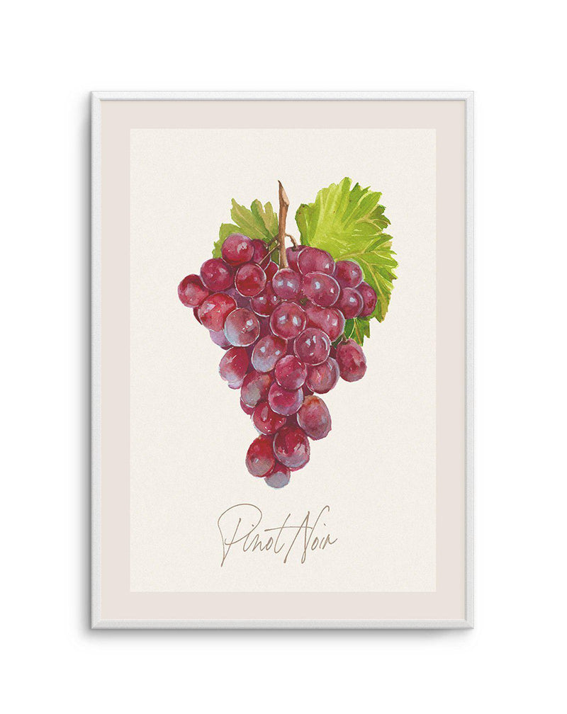 Pinot Noir Art Print-PRINT-Olive et Oriel-Olive et Oriel-A5 | 5.8" x 8.3" | 14.8 x 21cm-Unframed Art Print-With White Border-Buy-Australian-Art-Prints-Online-with-Olive-et-Oriel-Your-Artwork-Specialists-Austrailia-Decorate-With-Coastal-Photo-Wall-Art-Prints-From-Our-Beach-House-Artwork-Collection-Fine-Poster-and-Framed-Artwork