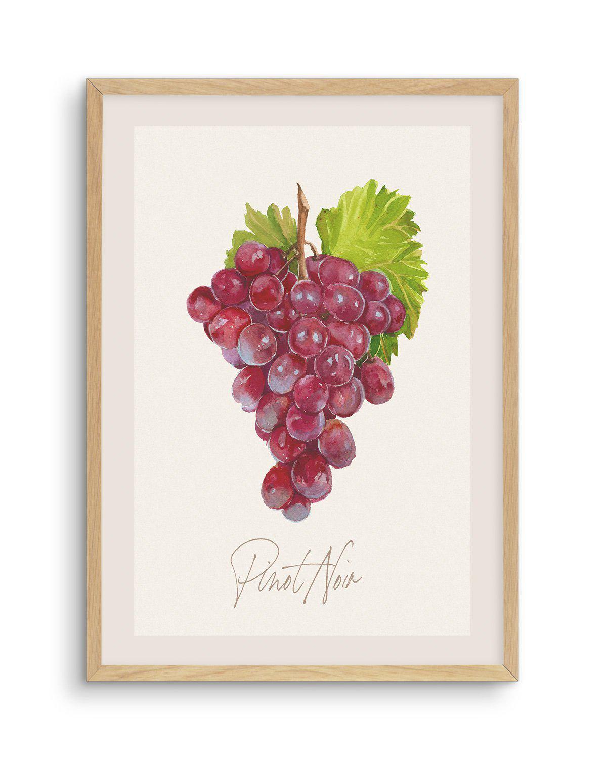 Pinot Noir Art Print-PRINT-Olive et Oriel-Olive et Oriel-A5 | 5.8" x 8.3" | 14.8 x 21cm-Oak-With White Border-Buy-Australian-Art-Prints-Online-with-Olive-et-Oriel-Your-Artwork-Specialists-Austrailia-Decorate-With-Coastal-Photo-Wall-Art-Prints-From-Our-Beach-House-Artwork-Collection-Fine-Poster-and-Framed-Artwork