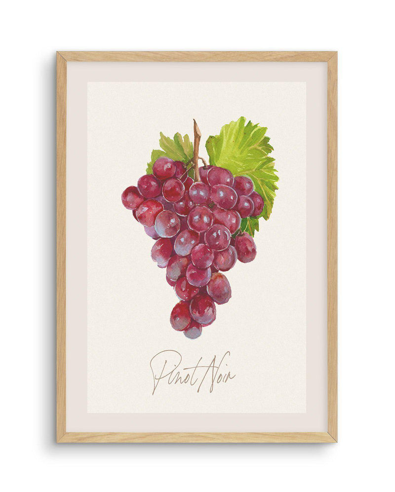 Pinot Noir Art Print-PRINT-Olive et Oriel-Olive et Oriel-A5 | 5.8" x 8.3" | 14.8 x 21cm-Oak-With White Border-Buy-Australian-Art-Prints-Online-with-Olive-et-Oriel-Your-Artwork-Specialists-Austrailia-Decorate-With-Coastal-Photo-Wall-Art-Prints-From-Our-Beach-House-Artwork-Collection-Fine-Poster-and-Framed-Artwork
