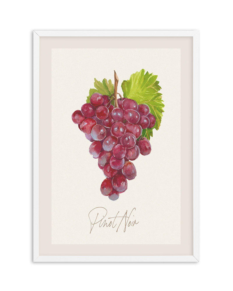 Pinot Noir Art Print-PRINT-Olive et Oriel-Olive et Oriel-A5 | 5.8" x 8.3" | 14.8 x 21cm-White-With White Border-Buy-Australian-Art-Prints-Online-with-Olive-et-Oriel-Your-Artwork-Specialists-Austrailia-Decorate-With-Coastal-Photo-Wall-Art-Prints-From-Our-Beach-House-Artwork-Collection-Fine-Poster-and-Framed-Artwork