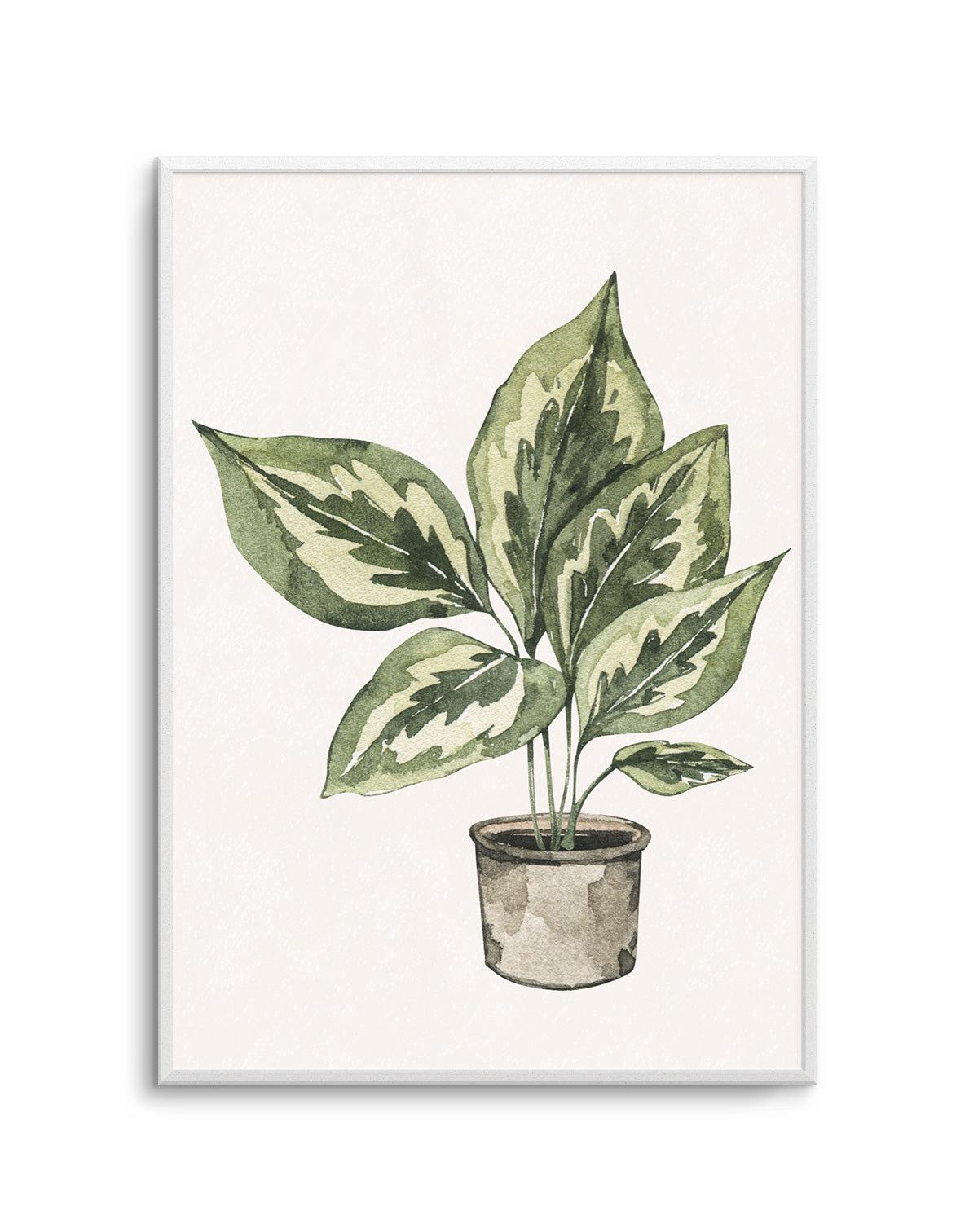 Plant Life Art Print-PRINT-Olive et Oriel-Olive et Oriel-Buy-Australian-Art-Prints-Online-with-Olive-et-Oriel-Your-Artwork-Specialists-Austrailia-Decorate-With-Coastal-Photo-Wall-Art-Prints-From-Our-Beach-House-Artwork-Collection-Fine-Poster-and-Framed-Artwork