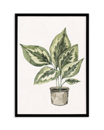 Plant Life Art Print-PRINT-Olive et Oriel-Olive et Oriel-A5 | 5.8" x 8.3" | 14.8 x 21cm-Black-With White Border-Buy-Australian-Art-Prints-Online-with-Olive-et-Oriel-Your-Artwork-Specialists-Austrailia-Decorate-With-Coastal-Photo-Wall-Art-Prints-From-Our-Beach-House-Artwork-Collection-Fine-Poster-and-Framed-Artwork