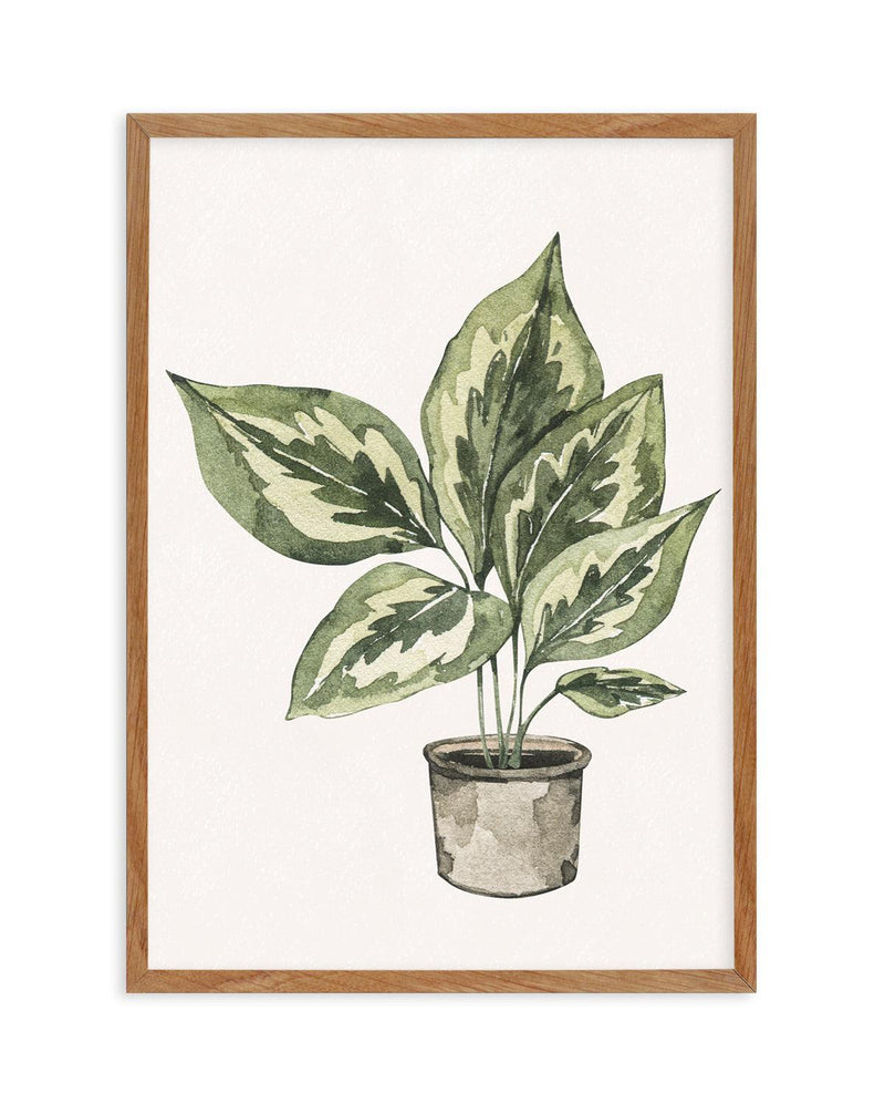 Plant Life Art Print-PRINT-Olive et Oriel-Olive et Oriel-50x70 cm | 19.6" x 27.5"-Walnut-With White Border-Buy-Australian-Art-Prints-Online-with-Olive-et-Oriel-Your-Artwork-Specialists-Austrailia-Decorate-With-Coastal-Photo-Wall-Art-Prints-From-Our-Beach-House-Artwork-Collection-Fine-Poster-and-Framed-Artwork