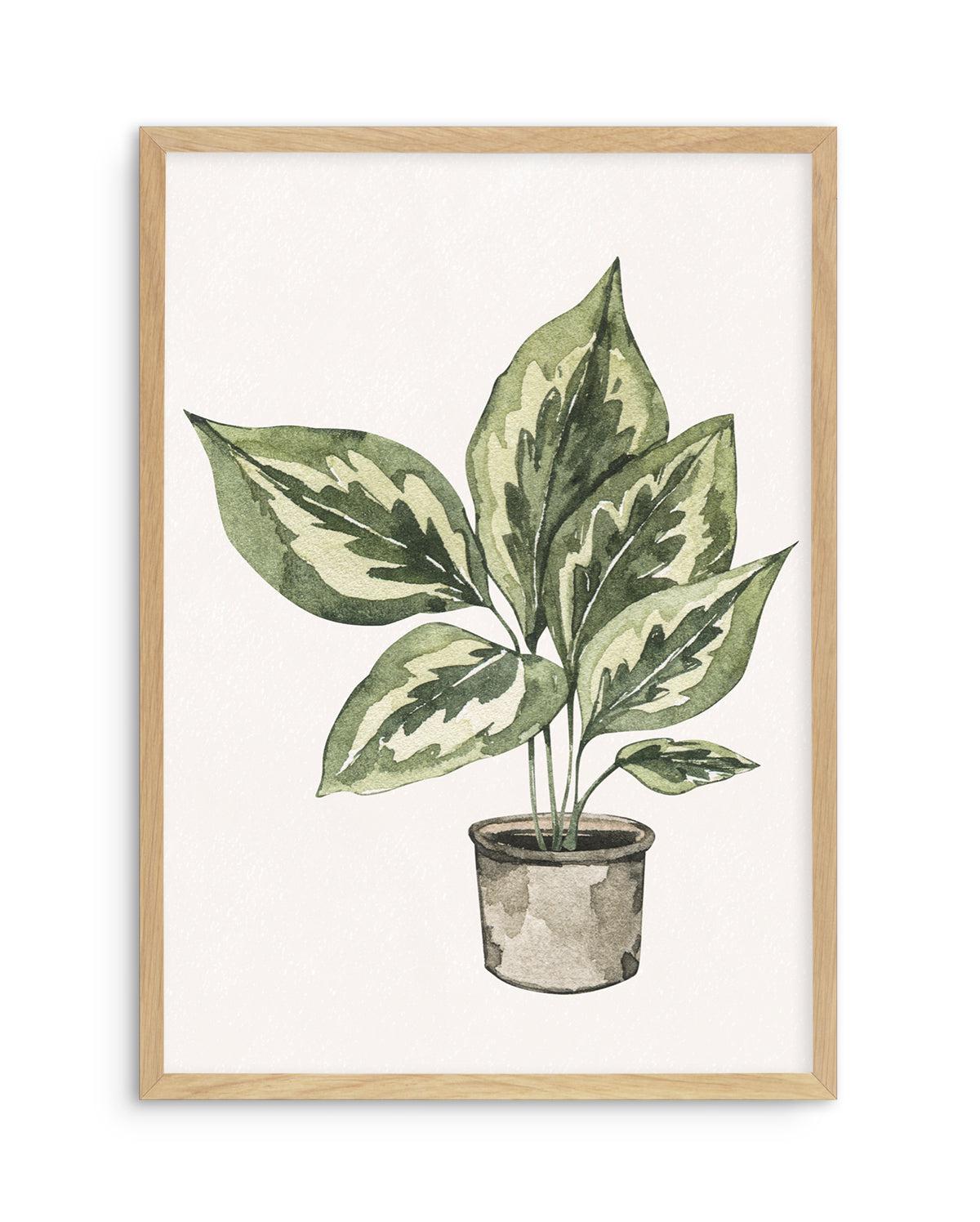 Plant Life Art Print-PRINT-Olive et Oriel-Olive et Oriel-A5 | 5.8" x 8.3" | 14.8 x 21cm-Oak-With White Border-Buy-Australian-Art-Prints-Online-with-Olive-et-Oriel-Your-Artwork-Specialists-Austrailia-Decorate-With-Coastal-Photo-Wall-Art-Prints-From-Our-Beach-House-Artwork-Collection-Fine-Poster-and-Framed-Artwork