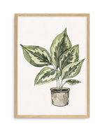 Plant Life Art Print-PRINT-Olive et Oriel-Olive et Oriel-A5 | 5.8" x 8.3" | 14.8 x 21cm-Oak-With White Border-Buy-Australian-Art-Prints-Online-with-Olive-et-Oriel-Your-Artwork-Specialists-Austrailia-Decorate-With-Coastal-Photo-Wall-Art-Prints-From-Our-Beach-House-Artwork-Collection-Fine-Poster-and-Framed-Artwork