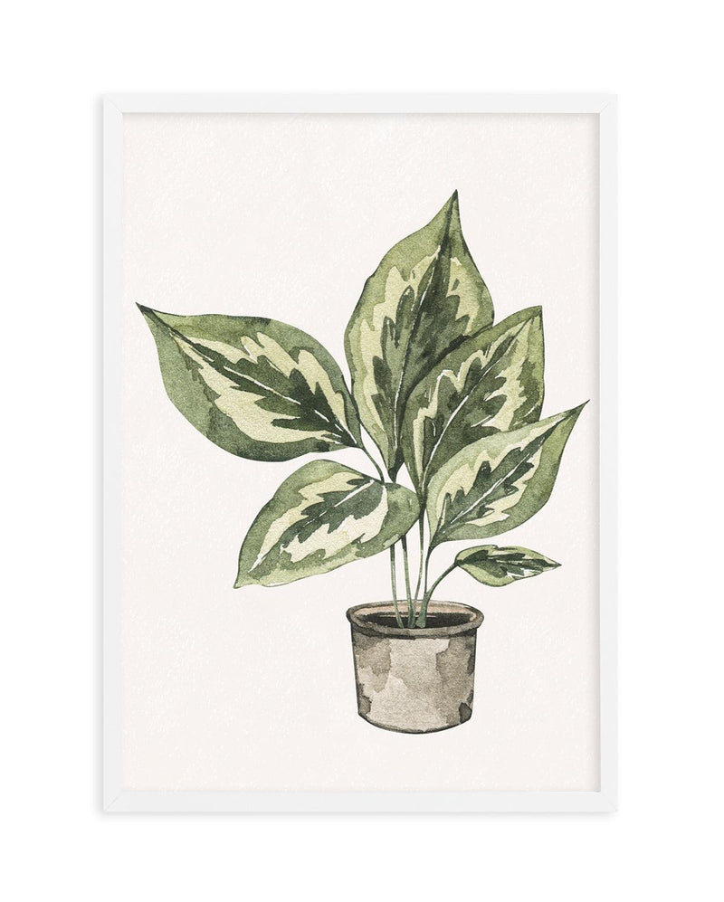 Plant Life Art Print-PRINT-Olive et Oriel-Olive et Oriel-A5 | 5.8" x 8.3" | 14.8 x 21cm-White-With White Border-Buy-Australian-Art-Prints-Online-with-Olive-et-Oriel-Your-Artwork-Specialists-Austrailia-Decorate-With-Coastal-Photo-Wall-Art-Prints-From-Our-Beach-House-Artwork-Collection-Fine-Poster-and-Framed-Artwork