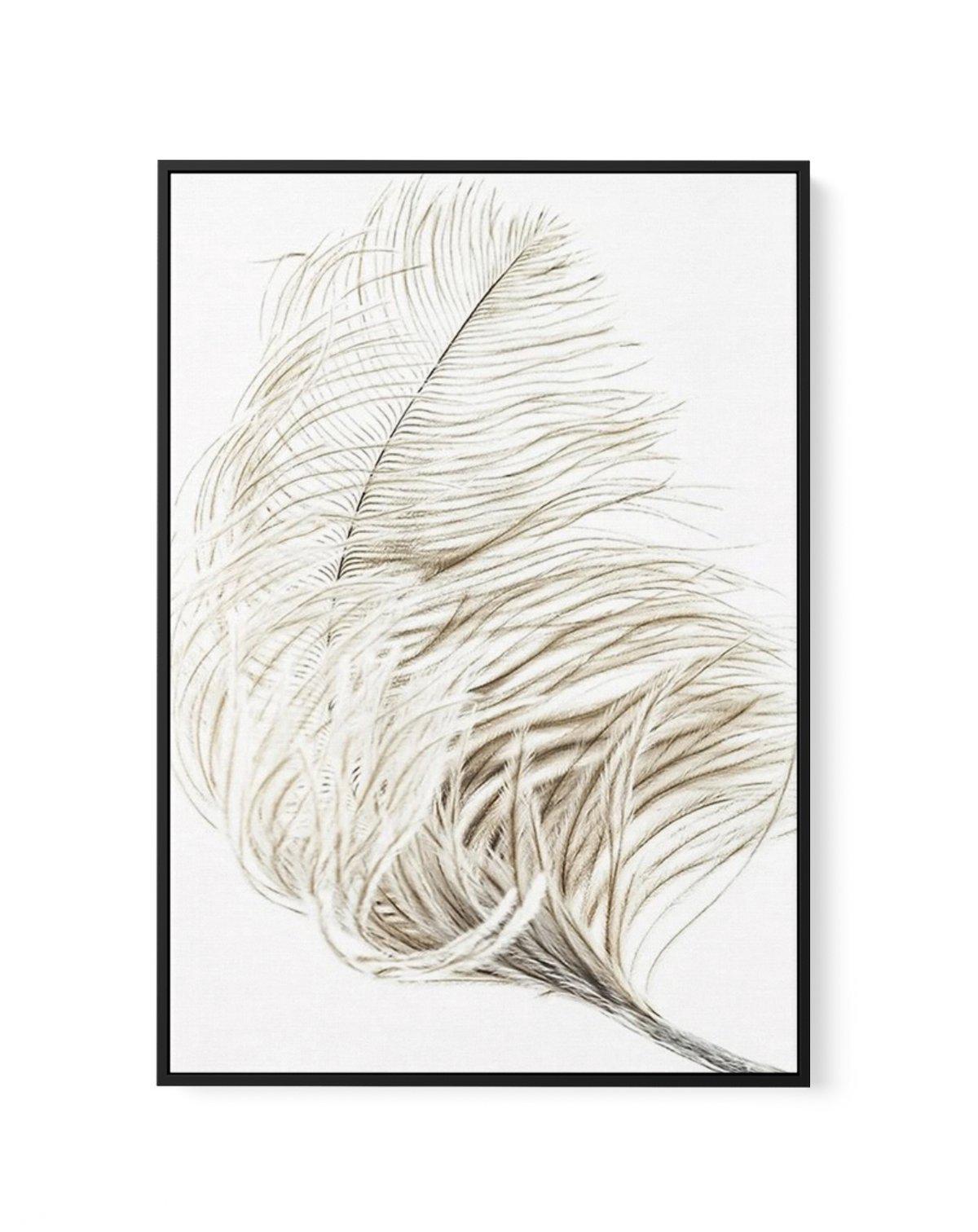 Plume | Framed Canvas-CANVAS-You can shop wall art online with Olive et Oriel for everything from abstract art to fun kids wall art. Our beautiful modern art prints and canvas art are available from large canvas prints to wall art paintings and our proudly Australian artwork collection offers only the highest quality framed large wall art and canvas art Australia - You can buy fashion photography prints or Hampton print posters and paintings on canvas from Olive et Oriel and have them delivered 