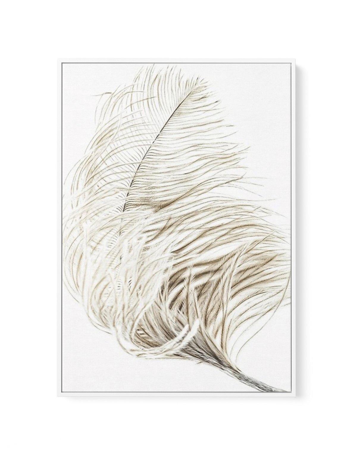 Plume | Framed Canvas-CANVAS-You can shop wall art online with Olive et Oriel for everything from abstract art to fun kids wall art. Our beautiful modern art prints and canvas art are available from large canvas prints to wall art paintings and our proudly Australian artwork collection offers only the highest quality framed large wall art and canvas art Australia - You can buy fashion photography prints or Hampton print posters and paintings on canvas from Olive et Oriel and have them delivered 