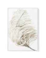 Plume | Framed Canvas-CANVAS-You can shop wall art online with Olive et Oriel for everything from abstract art to fun kids wall art. Our beautiful modern art prints and canvas art are available from large canvas prints to wall art paintings and our proudly Australian artwork collection offers only the highest quality framed large wall art and canvas art Australia - You can buy fashion photography prints or Hampton print posters and paintings on canvas from Olive et Oriel and have them delivered 