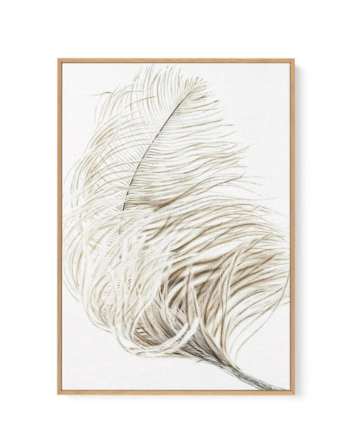 Plume | Framed Canvas-CANVAS-You can shop wall art online with Olive et Oriel for everything from abstract art to fun kids wall art. Our beautiful modern art prints and canvas art are available from large canvas prints to wall art paintings and our proudly Australian artwork collection offers only the highest quality framed large wall art and canvas art Australia - You can buy fashion photography prints or Hampton print posters and paintings on canvas from Olive et Oriel and have them delivered 