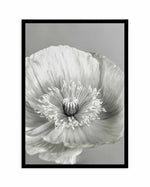 Poppy I | B&W Art Print-PRINT-Olive et Oriel-Olive et Oriel-A4 | 8.3" x 11.7" | 21 x 29.7cm-Black-With White Border-Buy-Australian-Art-Prints-Online-with-Olive-et-Oriel-Your-Artwork-Specialists-Austrailia-Decorate-With-Coastal-Photo-Wall-Art-Prints-From-Our-Beach-House-Artwork-Collection-Fine-Poster-and-Framed-Artwork