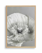 Poppy I | B&W Art Print-PRINT-Olive et Oriel-Olive et Oriel-A4 | 8.3" x 11.7" | 21 x 29.7cm-Oak-With White Border-Buy-Australian-Art-Prints-Online-with-Olive-et-Oriel-Your-Artwork-Specialists-Austrailia-Decorate-With-Coastal-Photo-Wall-Art-Prints-From-Our-Beach-House-Artwork-Collection-Fine-Poster-and-Framed-Artwork