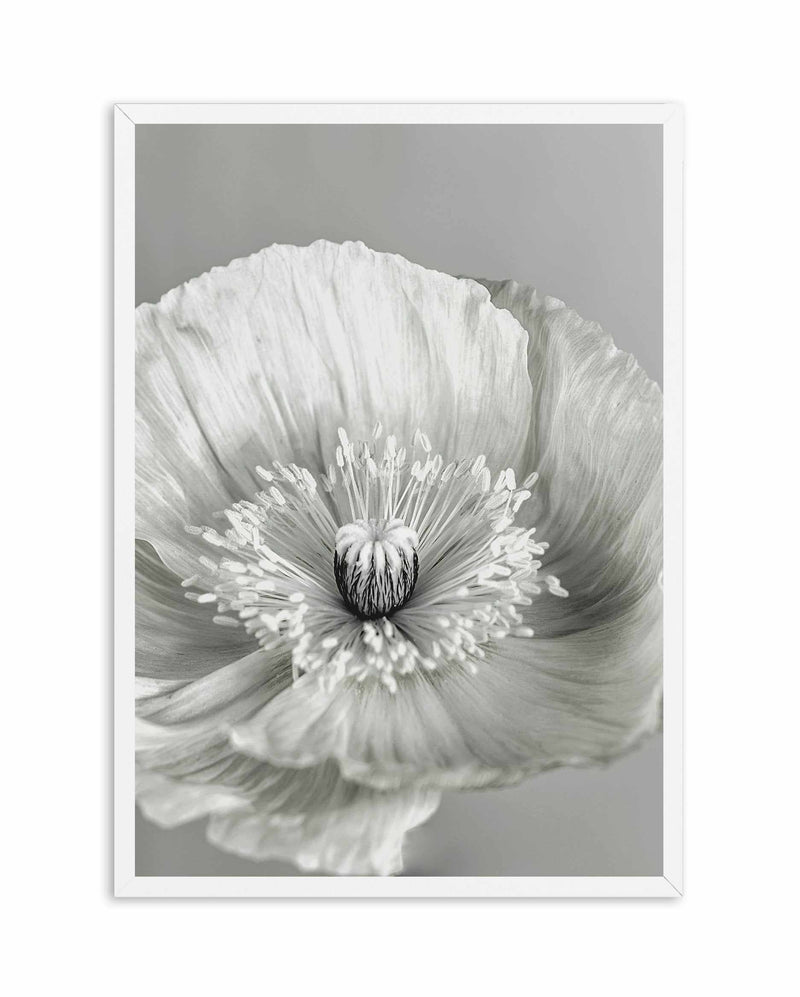 Poppy I | B&W Art Print-PRINT-Olive et Oriel-Olive et Oriel-A4 | 8.3" x 11.7" | 21 x 29.7cm-White-With White Border-Buy-Australian-Art-Prints-Online-with-Olive-et-Oriel-Your-Artwork-Specialists-Austrailia-Decorate-With-Coastal-Photo-Wall-Art-Prints-From-Our-Beach-House-Artwork-Collection-Fine-Poster-and-Framed-Artwork