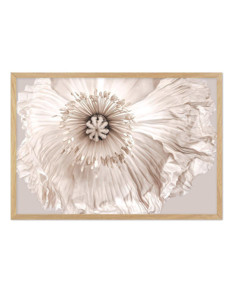 Poppy Lumiere Art Print-PRINT-Olive et Oriel-Olive et Oriel-A5 | 5.8" x 8.3" | 14.8 x 21cm-Oak-With White Border-Buy-Australian-Art-Prints-Online-with-Olive-et-Oriel-Your-Artwork-Specialists-Austrailia-Decorate-With-Coastal-Photo-Wall-Art-Prints-From-Our-Beach-House-Artwork-Collection-Fine-Poster-and-Framed-Artwork