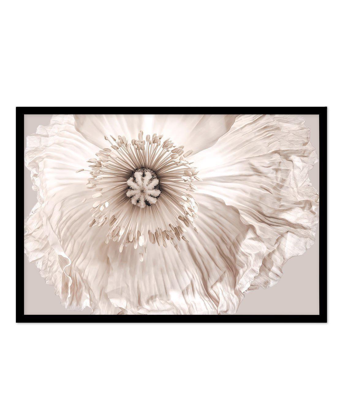 Poppy Lumiere Art Print-PRINT-Olive et Oriel-Olive et Oriel-A5 | 5.8" x 8.3" | 14.8 x 21cm-Black-With White Border-Buy-Australian-Art-Prints-Online-with-Olive-et-Oriel-Your-Artwork-Specialists-Austrailia-Decorate-With-Coastal-Photo-Wall-Art-Prints-From-Our-Beach-House-Artwork-Collection-Fine-Poster-and-Framed-Artwork