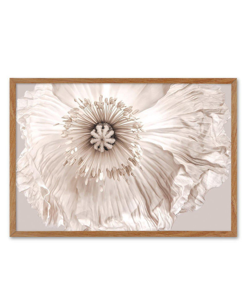 Poppy Lumiere Art Print-PRINT-Olive et Oriel-Olive et Oriel-50x70 cm | 19.6" x 27.5"-Walnut-With White Border-Buy-Australian-Art-Prints-Online-with-Olive-et-Oriel-Your-Artwork-Specialists-Austrailia-Decorate-With-Coastal-Photo-Wall-Art-Prints-From-Our-Beach-House-Artwork-Collection-Fine-Poster-and-Framed-Artwork