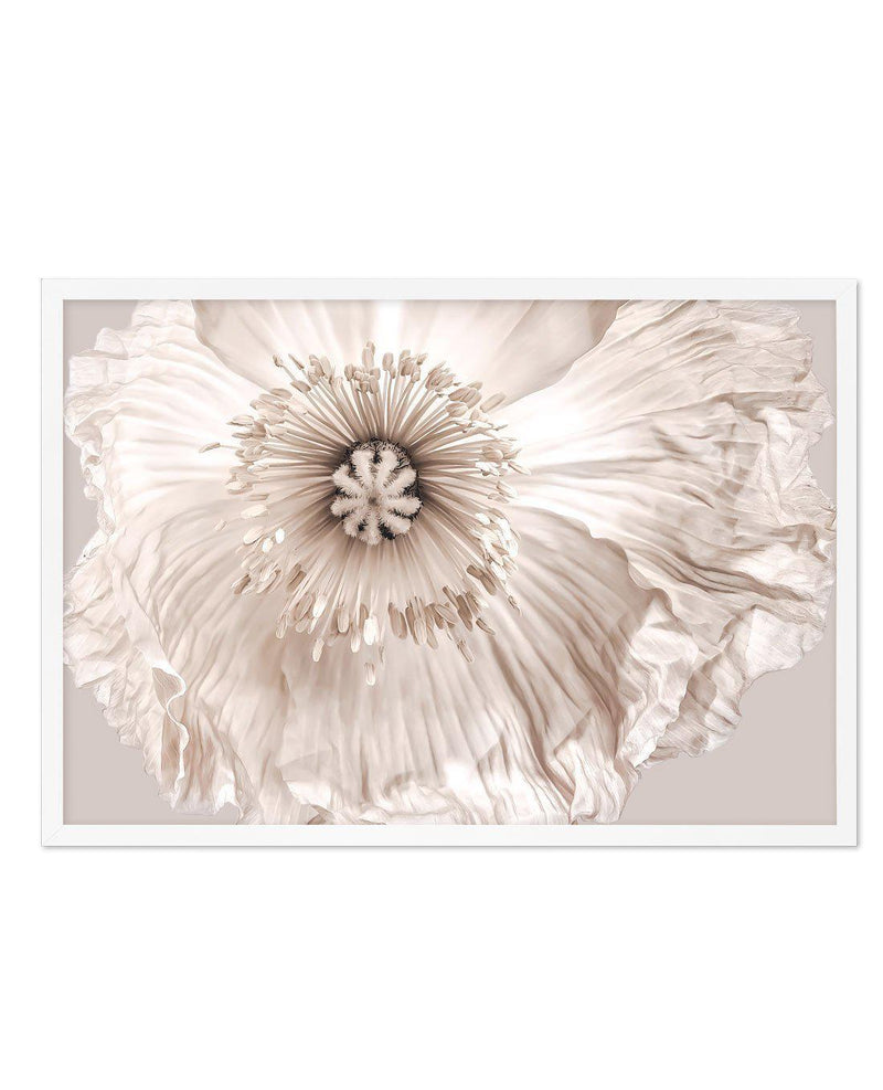 Poppy Lumiere Art Print-PRINT-Olive et Oriel-Olive et Oriel-A5 | 5.8" x 8.3" | 14.8 x 21cm-White-With White Border-Buy-Australian-Art-Prints-Online-with-Olive-et-Oriel-Your-Artwork-Specialists-Austrailia-Decorate-With-Coastal-Photo-Wall-Art-Prints-From-Our-Beach-House-Artwork-Collection-Fine-Poster-and-Framed-Artwork