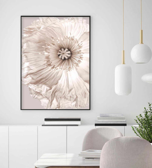 Poppy Lumiere Art Print-PRINT-Olive et Oriel-Olive et Oriel-Buy-Australian-Art-Prints-Online-with-Olive-et-Oriel-Your-Artwork-Specialists-Austrailia-Decorate-With-Coastal-Photo-Wall-Art-Prints-From-Our-Beach-House-Artwork-Collection-Fine-Poster-and-Framed-Artwork