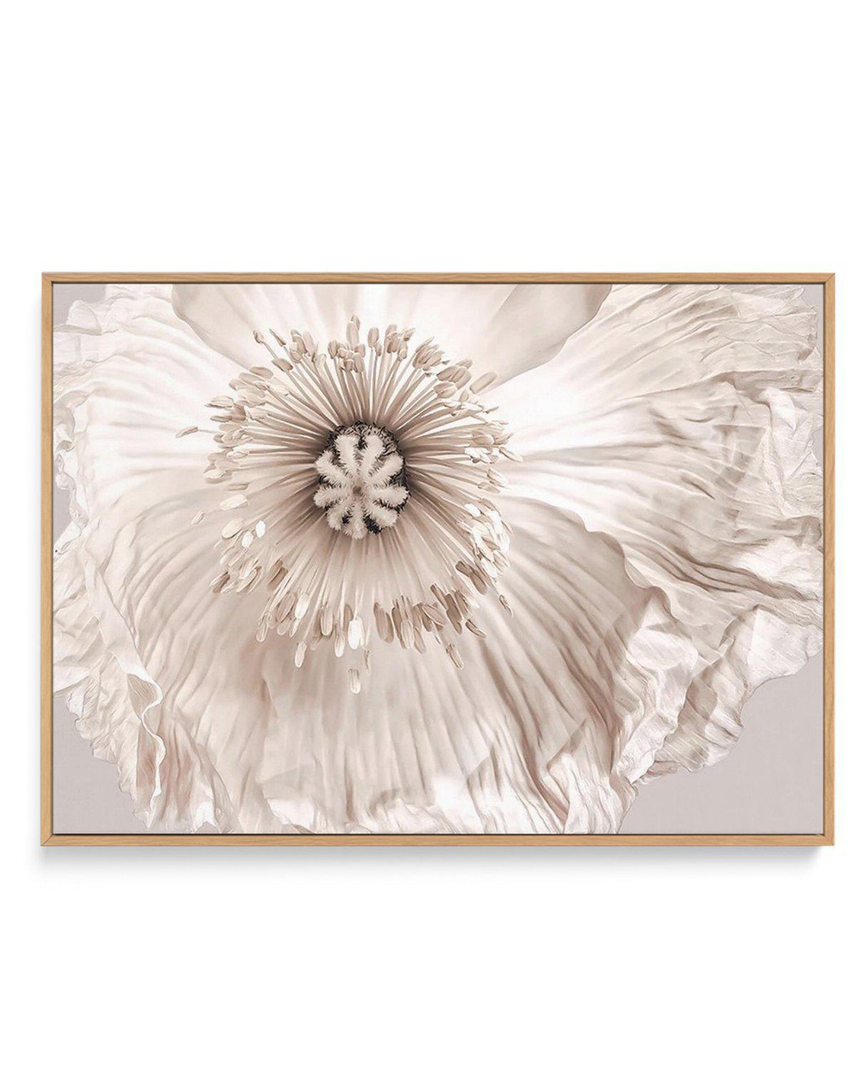 Poppy Lumiere | Framed Canvas-CANVAS-You can shop wall art online with Olive et Oriel for everything from abstract art to fun kids wall art. Our beautiful modern art prints and canvas art are available from large canvas prints to wall art paintings and our proudly Australian artwork collection offers only the highest quality framed large wall art and canvas art Australia - You can buy fashion photography prints or Hampton print posters and paintings on canvas from Olive et Oriel and have them de