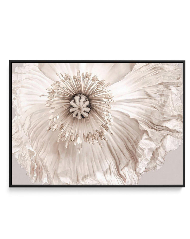 Poppy Lumiere | Framed Canvas-CANVAS-You can shop wall art online with Olive et Oriel for everything from abstract art to fun kids wall art. Our beautiful modern art prints and canvas art are available from large canvas prints to wall art paintings and our proudly Australian artwork collection offers only the highest quality framed large wall art and canvas art Australia - You can buy fashion photography prints or Hampton print posters and paintings on canvas from Olive et Oriel and have them de