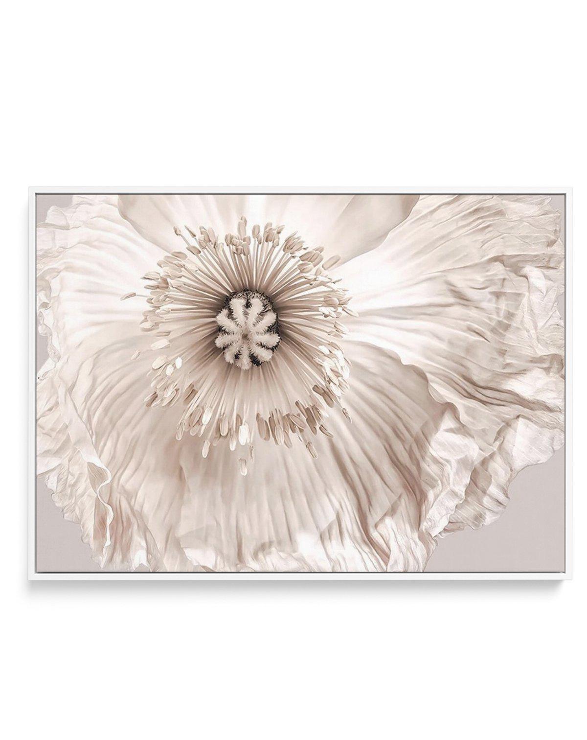 Poppy Lumiere | Framed Canvas-CANVAS-You can shop wall art online with Olive et Oriel for everything from abstract art to fun kids wall art. Our beautiful modern art prints and canvas art are available from large canvas prints to wall art paintings and our proudly Australian artwork collection offers only the highest quality framed large wall art and canvas art Australia - You can buy fashion photography prints or Hampton print posters and paintings on canvas from Olive et Oriel and have them de