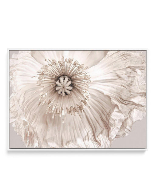Poppy Lumiere | Framed Canvas-CANVAS-You can shop wall art online with Olive et Oriel for everything from abstract art to fun kids wall art. Our beautiful modern art prints and canvas art are available from large canvas prints to wall art paintings and our proudly Australian artwork collection offers only the highest quality framed large wall art and canvas art Australia - You can buy fashion photography prints or Hampton print posters and paintings on canvas from Olive et Oriel and have them de