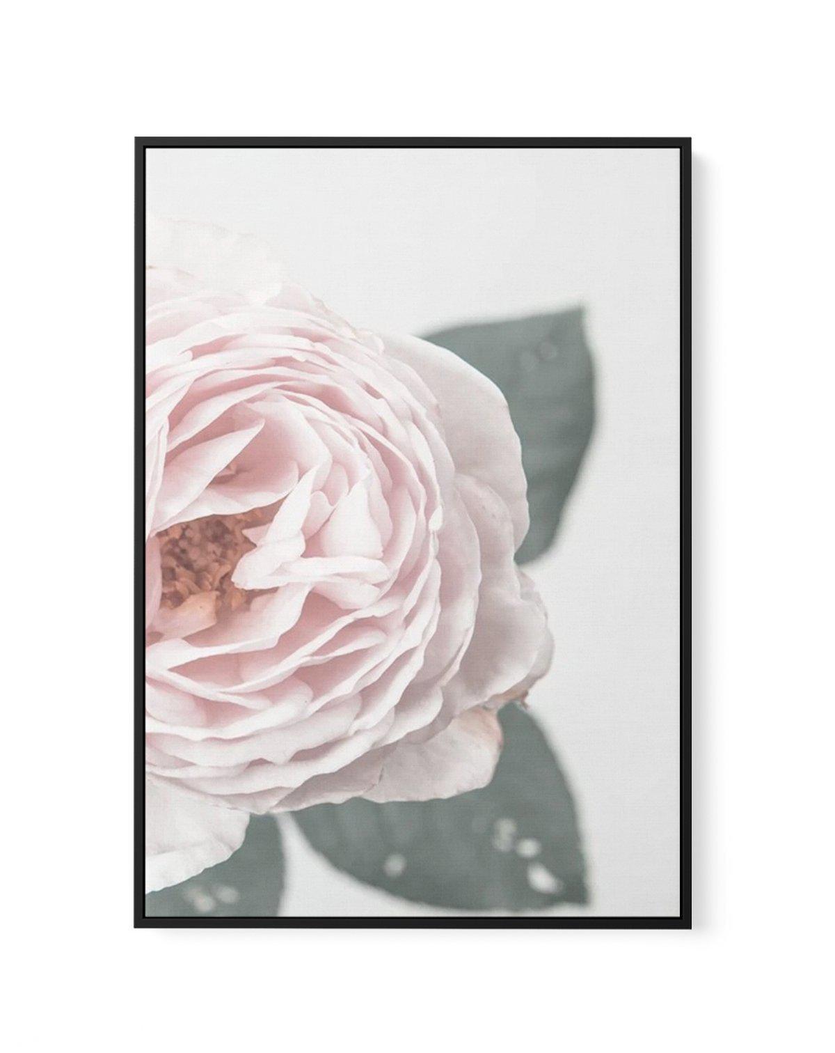 Pretty Little Thing I | Framed Canvas-CANVAS-You can shop wall art online with Olive et Oriel for everything from abstract art to fun kids wall art. Our beautiful modern art prints and canvas art are available from large canvas prints to wall art paintings and our proudly Australian artwork collection offers only the highest quality framed large wall art and canvas art Australia - You can buy fashion photography prints or Hampton print posters and paintings on canvas from Olive et Oriel and have