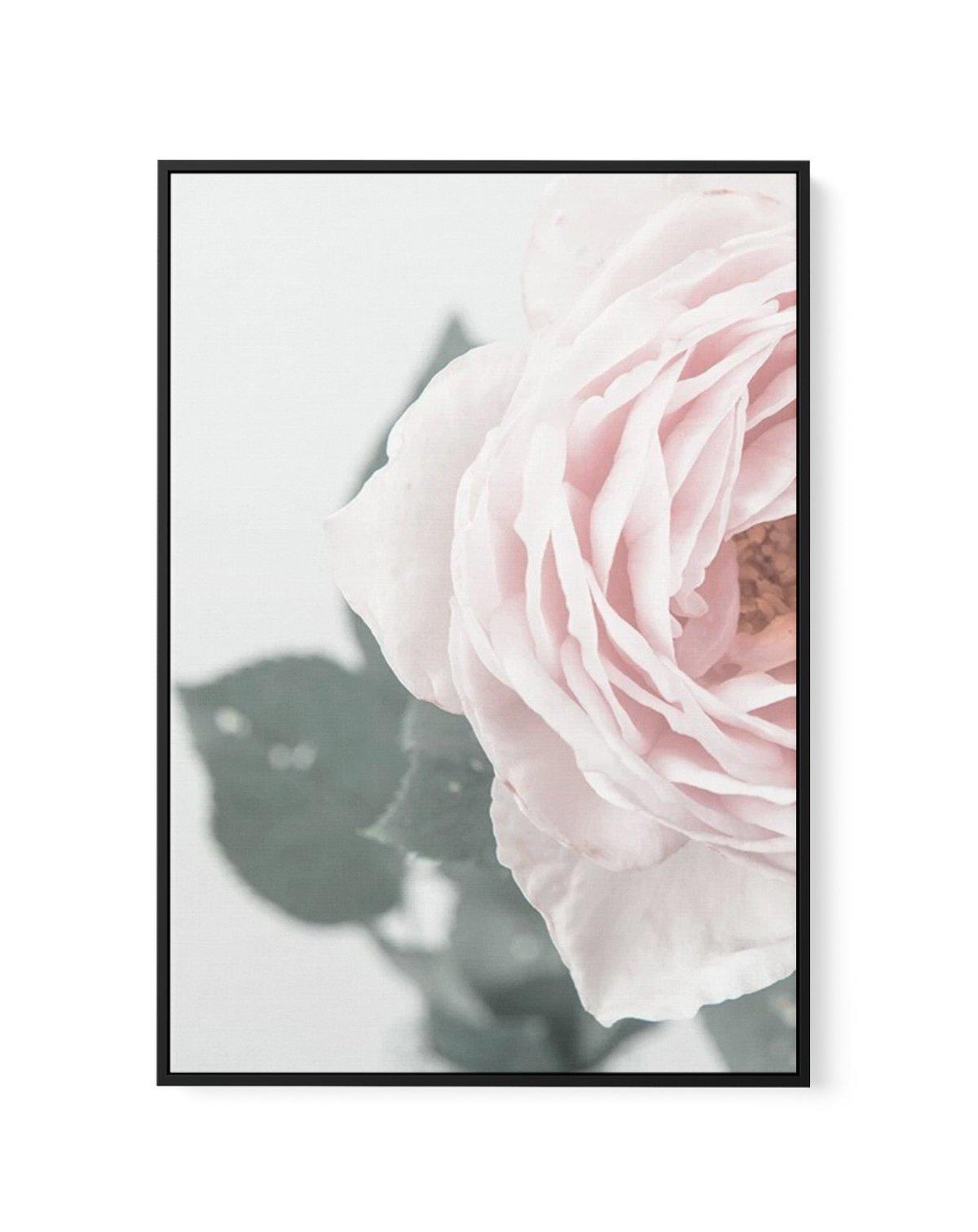 Pretty Little Thing II | Framed Canvas-CANVAS-You can shop wall art online with Olive et Oriel for everything from abstract art to fun kids wall art. Our beautiful modern art prints and canvas art are available from large canvas prints to wall art paintings and our proudly Australian artwork collection offers only the highest quality framed large wall art and canvas art Australia - You can buy fashion photography prints or Hampton print posters and paintings on canvas from Olive et Oriel and hav