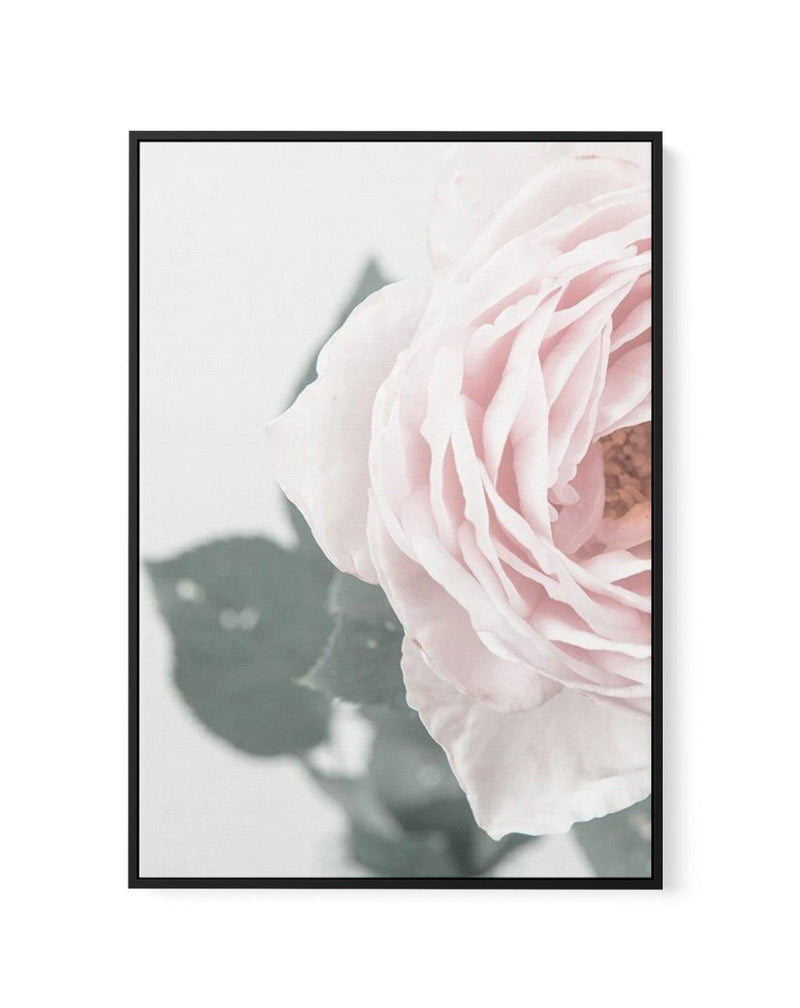 Pretty Little Thing II | Framed Canvas-CANVAS-You can shop wall art online with Olive et Oriel for everything from abstract art to fun kids wall art. Our beautiful modern art prints and canvas art are available from large canvas prints to wall art paintings and our proudly Australian artwork collection offers only the highest quality framed large wall art and canvas art Australia - You can buy fashion photography prints or Hampton print posters and paintings on canvas from Olive et Oriel and hav