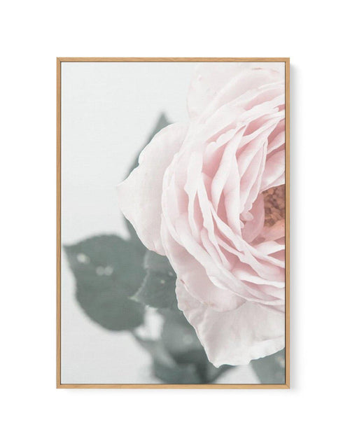 Pretty Little Thing II | Framed Canvas-CANVAS-You can shop wall art online with Olive et Oriel for everything from abstract art to fun kids wall art. Our beautiful modern art prints and canvas art are available from large canvas prints to wall art paintings and our proudly Australian artwork collection offers only the highest quality framed large wall art and canvas art Australia - You can buy fashion photography prints or Hampton print posters and paintings on canvas from Olive et Oriel and hav