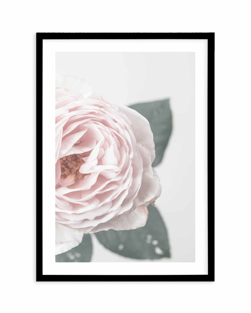 Pretty Little Thing I Art Print-PRINT-Olive et Oriel-Olive et Oriel-A5 | 5.8" x 8.3" | 14.8 x 21cm-Black-With White Border-Buy-Australian-Art-Prints-Online-with-Olive-et-Oriel-Your-Artwork-Specialists-Austrailia-Decorate-With-Coastal-Photo-Wall-Art-Prints-From-Our-Beach-House-Artwork-Collection-Fine-Poster-and-Framed-Artwork