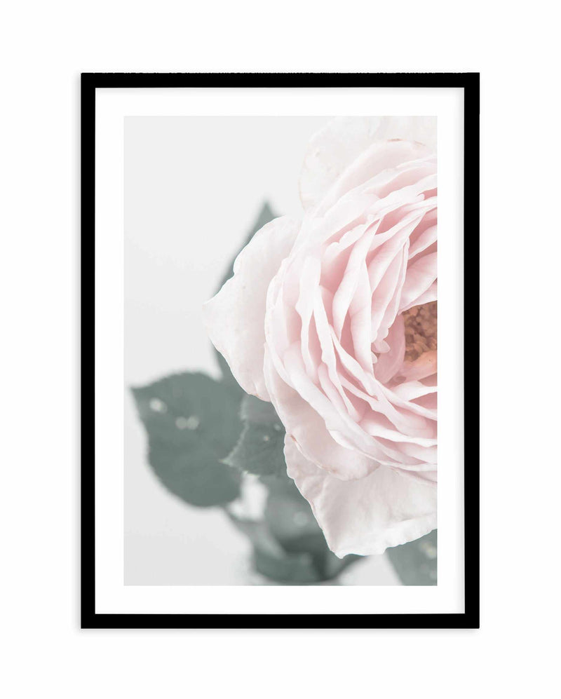 Pretty Little Thing II Art Print-PRINT-Olive et Oriel-Olive et Oriel-A5 | 5.8" x 8.3" | 14.8 x 21cm-Black-With White Border-Buy-Australian-Art-Prints-Online-with-Olive-et-Oriel-Your-Artwork-Specialists-Austrailia-Decorate-With-Coastal-Photo-Wall-Art-Prints-From-Our-Beach-House-Artwork-Collection-Fine-Poster-and-Framed-Artwork