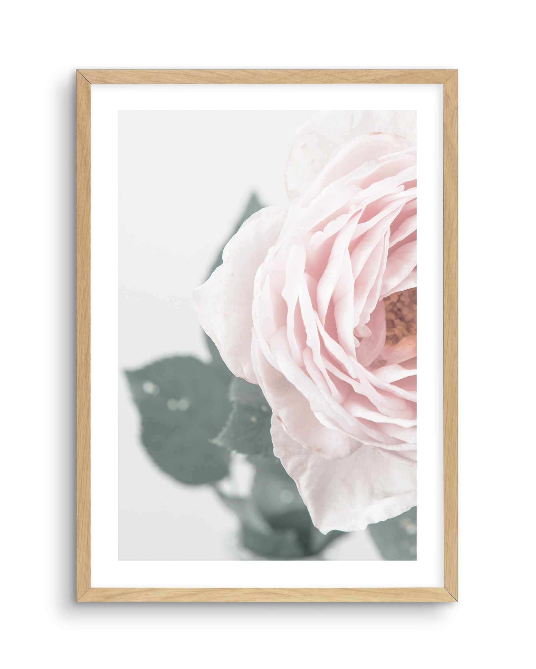 Pretty Little Thing II Art Print-PRINT-Olive et Oriel-Olive et Oriel-A5 | 5.8" x 8.3" | 14.8 x 21cm-Oak-With White Border-Buy-Australian-Art-Prints-Online-with-Olive-et-Oriel-Your-Artwork-Specialists-Austrailia-Decorate-With-Coastal-Photo-Wall-Art-Prints-From-Our-Beach-House-Artwork-Collection-Fine-Poster-and-Framed-Artwork