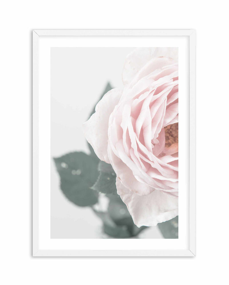 Pretty Little Thing II Art Print-PRINT-Olive et Oriel-Olive et Oriel-A5 | 5.8" x 8.3" | 14.8 x 21cm-White-With White Border-Buy-Australian-Art-Prints-Online-with-Olive-et-Oriel-Your-Artwork-Specialists-Austrailia-Decorate-With-Coastal-Photo-Wall-Art-Prints-From-Our-Beach-House-Artwork-Collection-Fine-Poster-and-Framed-Artwork