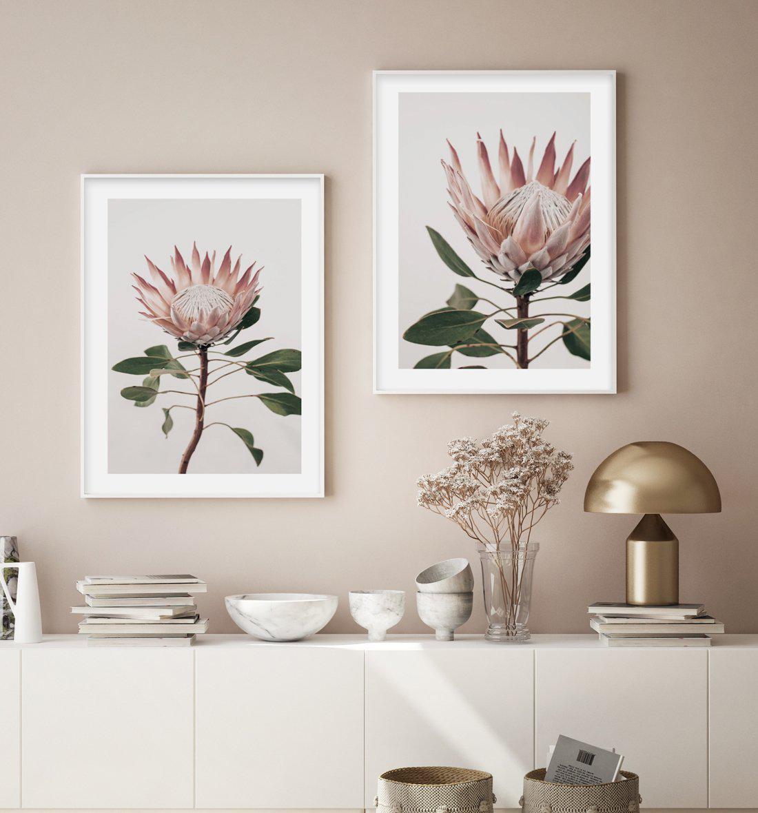 Protea in Overture I Art Print-PRINT-Olive et Oriel-Olive et Oriel-Buy-Australian-Art-Prints-Online-with-Olive-et-Oriel-Your-Artwork-Specialists-Austrailia-Decorate-With-Coastal-Photo-Wall-Art-Prints-From-Our-Beach-House-Artwork-Collection-Fine-Poster-and-Framed-Artwork