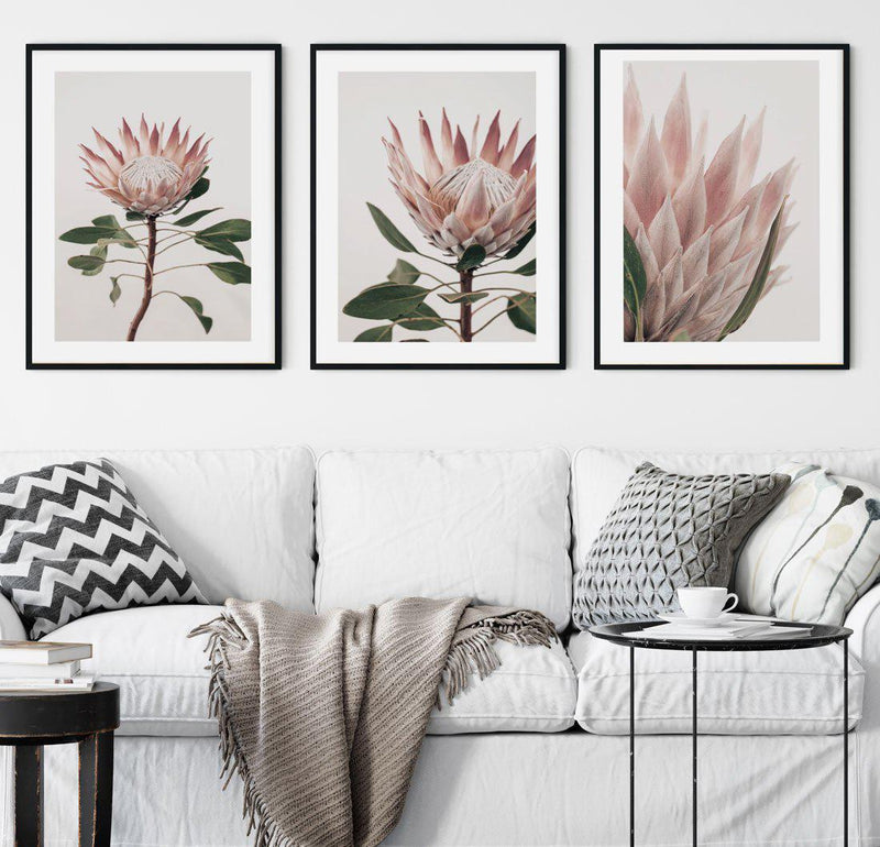 Protea in Overture I Art Print-PRINT-Olive et Oriel-Olive et Oriel-Buy-Australian-Art-Prints-Online-with-Olive-et-Oriel-Your-Artwork-Specialists-Austrailia-Decorate-With-Coastal-Photo-Wall-Art-Prints-From-Our-Beach-House-Artwork-Collection-Fine-Poster-and-Framed-Artwork