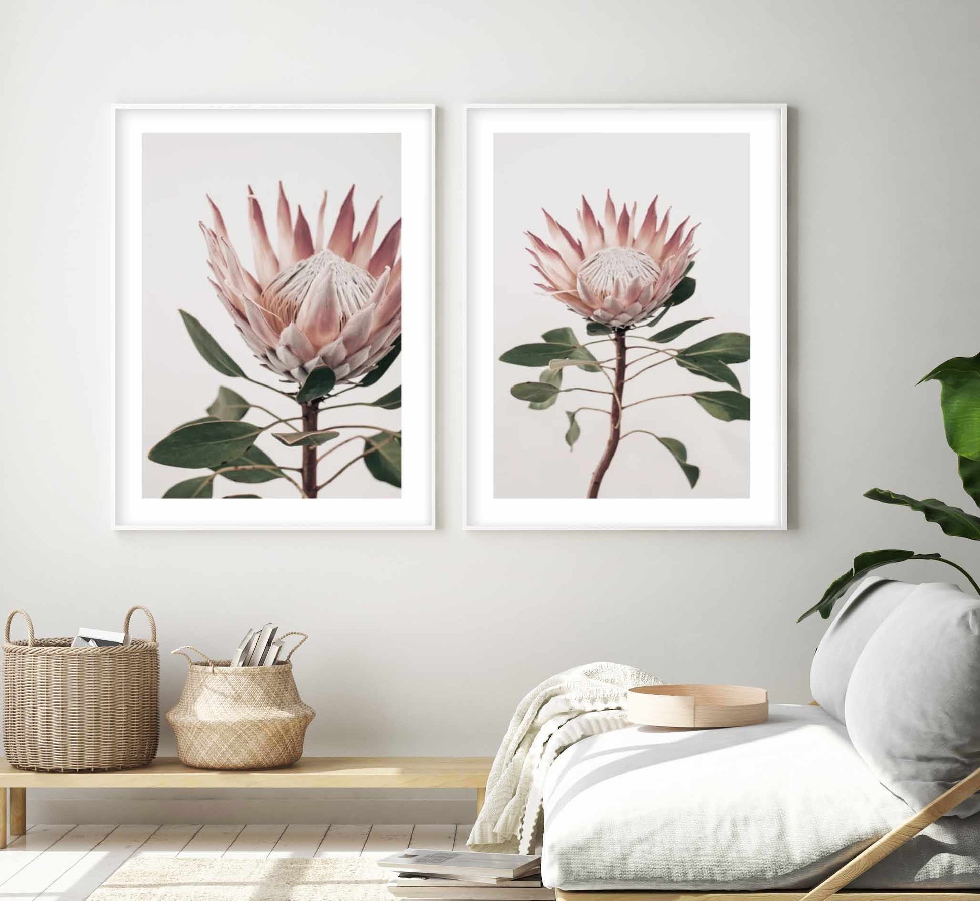 Protea in Overture I Art Print-PRINT-Olive et Oriel-Olive et Oriel-Buy-Australian-Art-Prints-Online-with-Olive-et-Oriel-Your-Artwork-Specialists-Austrailia-Decorate-With-Coastal-Photo-Wall-Art-Prints-From-Our-Beach-House-Artwork-Collection-Fine-Poster-and-Framed-Artwork