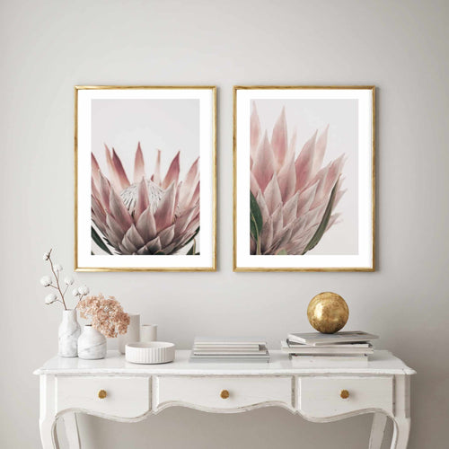 Protea in Overture III Art Print-PRINT-Olive et Oriel-Olive et Oriel-Buy-Australian-Art-Prints-Online-with-Olive-et-Oriel-Your-Artwork-Specialists-Austrailia-Decorate-With-Coastal-Photo-Wall-Art-Prints-From-Our-Beach-House-Artwork-Collection-Fine-Poster-and-Framed-Artwork