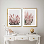 Protea in Overture IV Art Print-PRINT-Olive et Oriel-Olive et Oriel-Buy-Australian-Art-Prints-Online-with-Olive-et-Oriel-Your-Artwork-Specialists-Austrailia-Decorate-With-Coastal-Photo-Wall-Art-Prints-From-Our-Beach-House-Artwork-Collection-Fine-Poster-and-Framed-Artwork