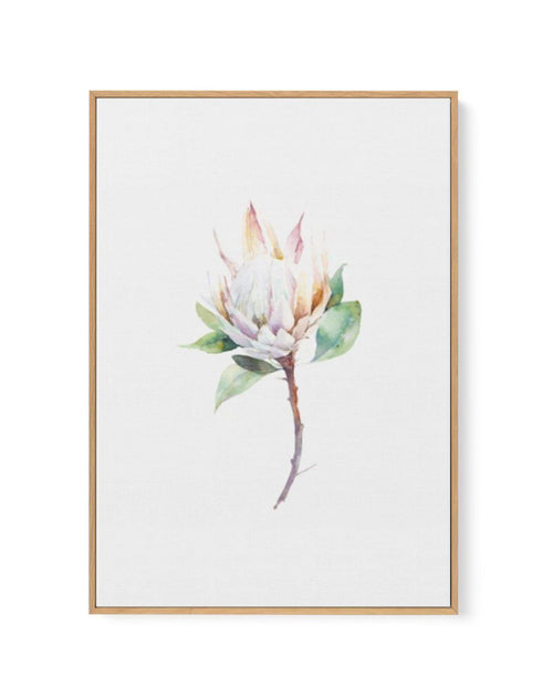 Protea in Watercolour | Framed Canvas-CANVAS-You can shop wall art online with Olive et Oriel for everything from abstract art to fun kids wall art. Our beautiful modern art prints and canvas art are available from large canvas prints to wall art paintings and our proudly Australian artwork collection offers only the highest quality framed large wall art and canvas art Australia - You can buy fashion photography prints or Hampton print posters and paintings on canvas from Olive et Oriel and have