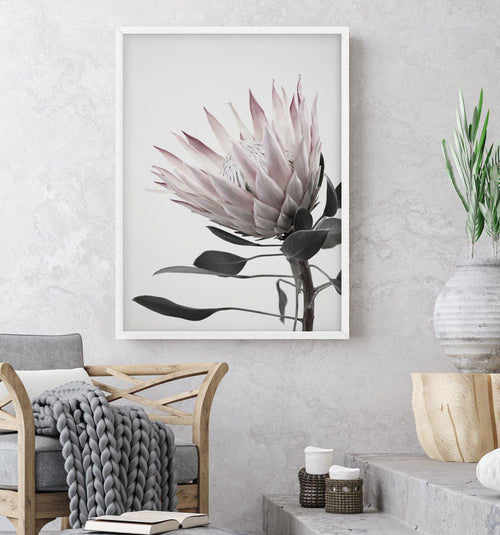Protea Lumiere Art Print-PRINT-Olive et Oriel-Olive et Oriel-Buy-Australian-Art-Prints-Online-with-Olive-et-Oriel-Your-Artwork-Specialists-Austrailia-Decorate-With-Coastal-Photo-Wall-Art-Prints-From-Our-Beach-House-Artwork-Collection-Fine-Poster-and-Framed-Artwork
